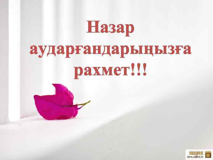 Назар аударғандарыңызға рахмет!!! 