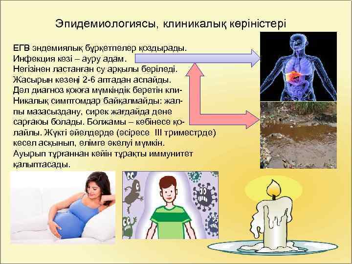 Эпидемиологиясы, клиникалық көріністері ЕГВ эндемиялық бұрқетпелер қоздырады. Инфекция көзі – ауру адам. Негізінен ластанған