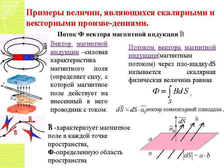 Примеры величин, являющихся скалярными и векторными произве дениями. Вектор магнитной индукции –силовая характеристика магнитного