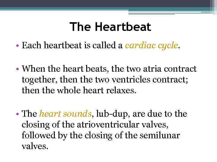 The Heartbeat • Each heartbeat is called a cardiac cycle. • When the heart