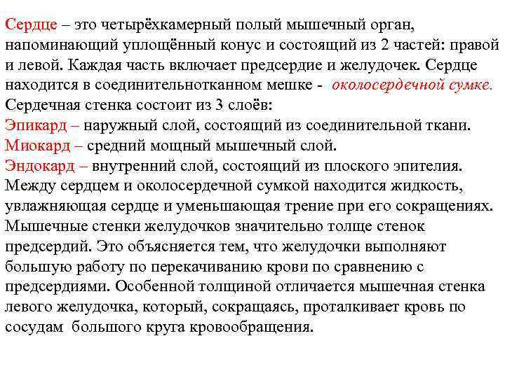 Сердце – это четырёхкамерный полый мышечный орган, напоминающий уплощённый конус и состоящий из 2