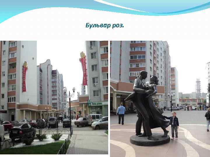 Бульвар роз. 