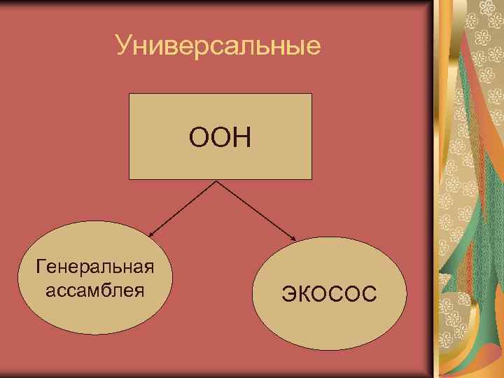 Универсальные ООН Генеральная ассамблея ЭКОСОС 