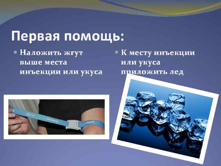Первая помощь: Наложить жгут выше места инъекции или укуса К месту инъекции или укуса