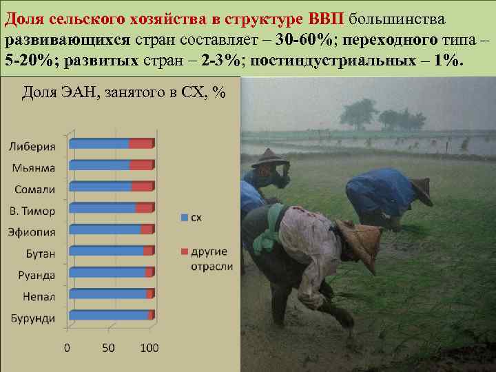 На долю сельского приходится населения