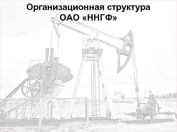 Организационная структура ОАО «ННГФ» 