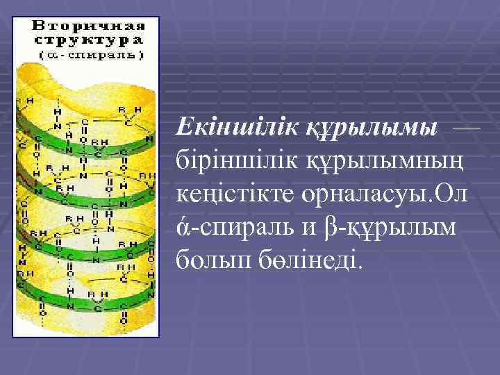 Екіншілік құрылымы — біріншілік құрылымның кеңістікте орналасуы. Ол ά-спираль и β-құрылым болып бөлінеді. 