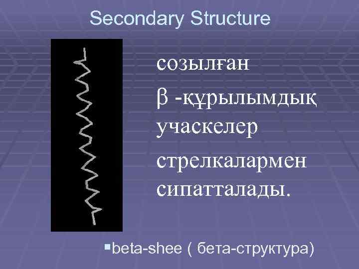 Secondary Structure созылған β -құрылымдық учаскелер стрелкалармен сипатталады. §beta-shee ( бета-структура) 