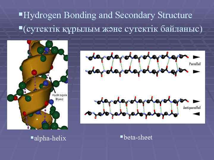 §Hydrogen Bonding аnd Secondary Structure §(сутектік құрылым және сутектік байланыс) §alpha-helix §beta-sheet 