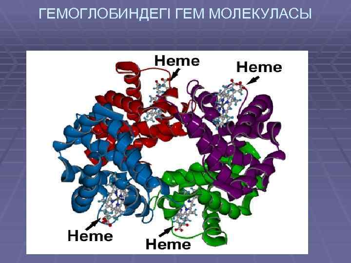 ГЕМОГЛОБИНДЕГІ ГЕМ МОЛЕКУЛАСЫ 