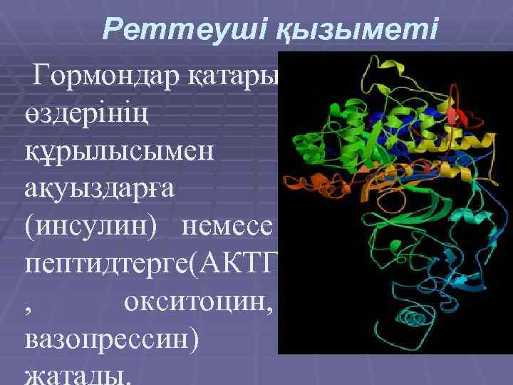 Реттеуші қызыметі Гормондар қатары өздерінің құрылысымен ақуыздарға (инсулин) немесе пептидтерге(АКТГ , окситоцин, вазопрессин) 