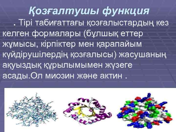 § Қозғалтушы функция. Тірі табиғаттағы қозғалыстардың кез келген формалары (бұлшық еттер жұмысы, кірпіктер мен