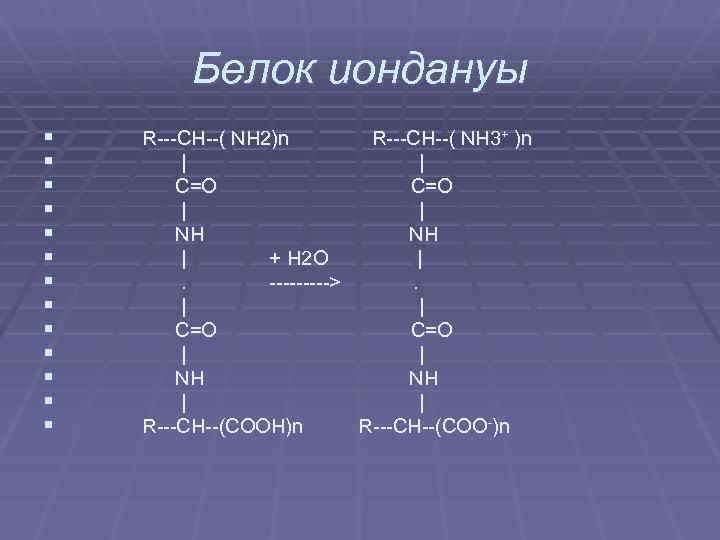 Белок иондануы § § § § R---CH--( NH 2)n R---CH--( NH 3+ )n |