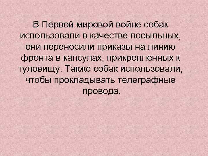 В Первой мировой войне собак использовали в качестве посыльных, они переносили приказы на линию