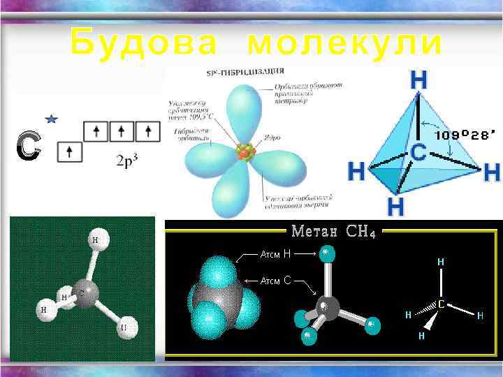 Будова молекули С 