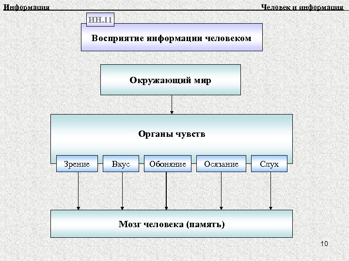 Информация Человек и информация ИН. 11 Восприятие информации человеком Окружающий мир Органы чувств Зрение