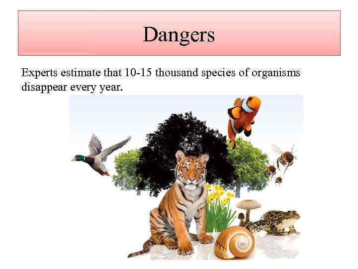 Dangers Experts estimate that 10 -15 thousand species of organisms disappear every year. 