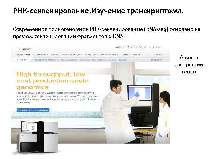 РНК-секвенирование. Изучение транскриптома. Современное полногеномное РНК-секвенирование (RNA-seq) основано на прямом секвенировании фрагментов с-DNA Анализ