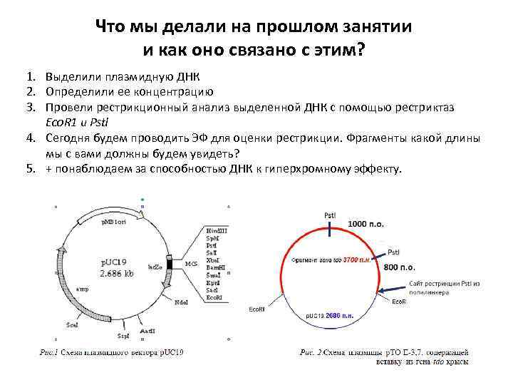 Что мы делали на прошлом занятии и как оно связано с этим? 1. Выделили