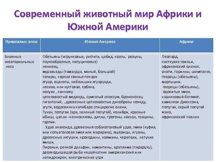 Современный животный мир Африки и Южной Америки Природные зоны Влажные экваториальные леса Южная Америка