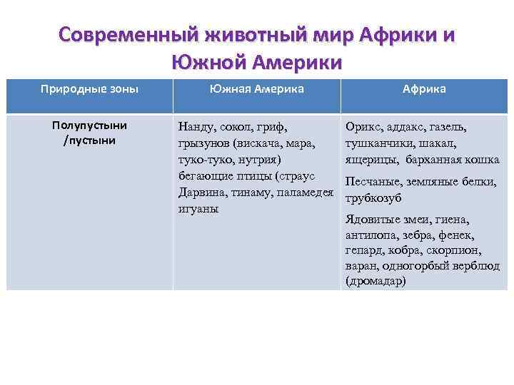 Современный животный мир Африки и Южной Америки Природные зоны Южная Америка Африка Полупустыни /пустыни