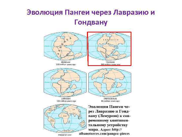 Эволюция Пангеи через Лавразию и Гондвану 