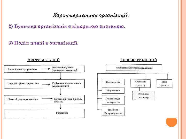 Характеристики організації: 2) Будь-яка організація є відкритою системою. 3) Поділ праці в організації. Вертикальний
