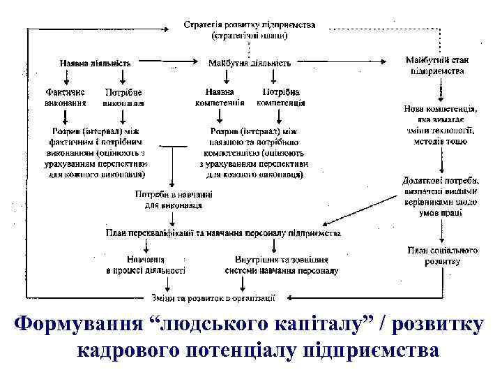 Формування “людського капіталу” / розвитку кадрового потенціалу підприємства 