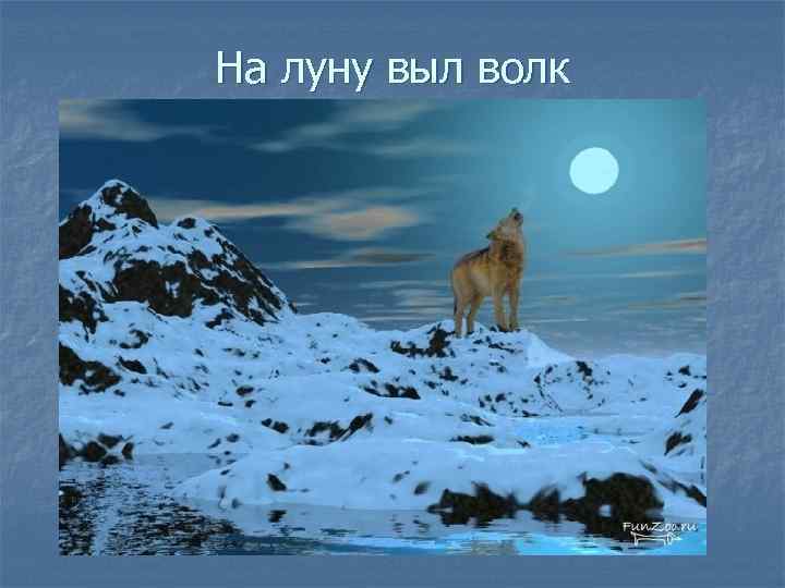 На луну выл волк 