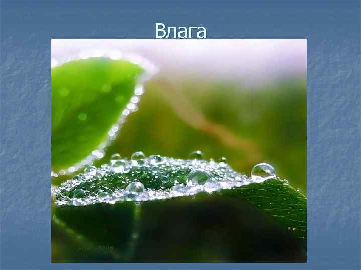 Влага 