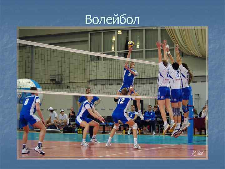 Волейбол 