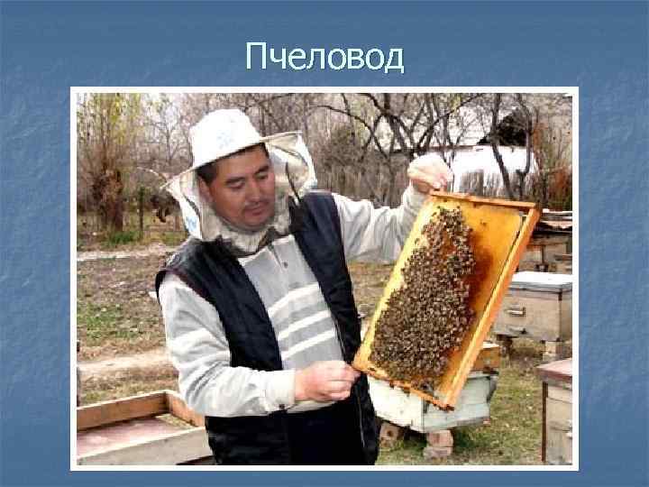 Пчеловод 