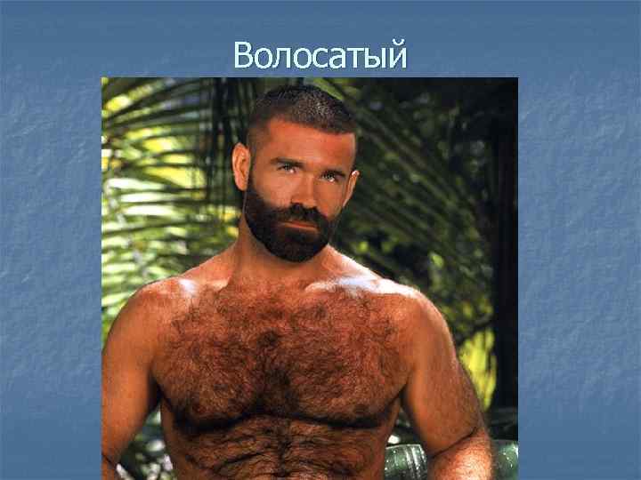 Волосатый 