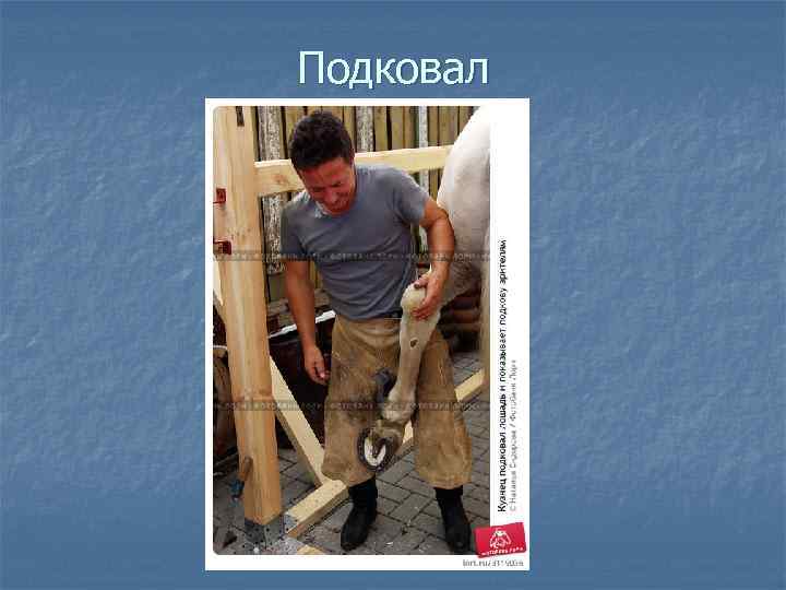 Подковал 