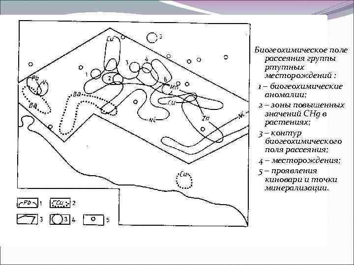 Биогеохимическое поле рассеяния группы ртутных месторождений : 1 – биогеохимические аномалии; 2 – зоны