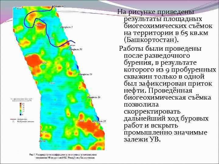 На рисунке приведены результаты площадных биогеохимических съёмок на территории в 65 кв. км (Башкортостан).