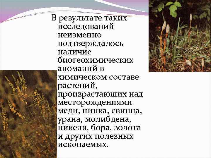 В результате таких исследований неизменно подтверждалось наличие биогеохимических аномалий в химическом составе растений, произрастающих