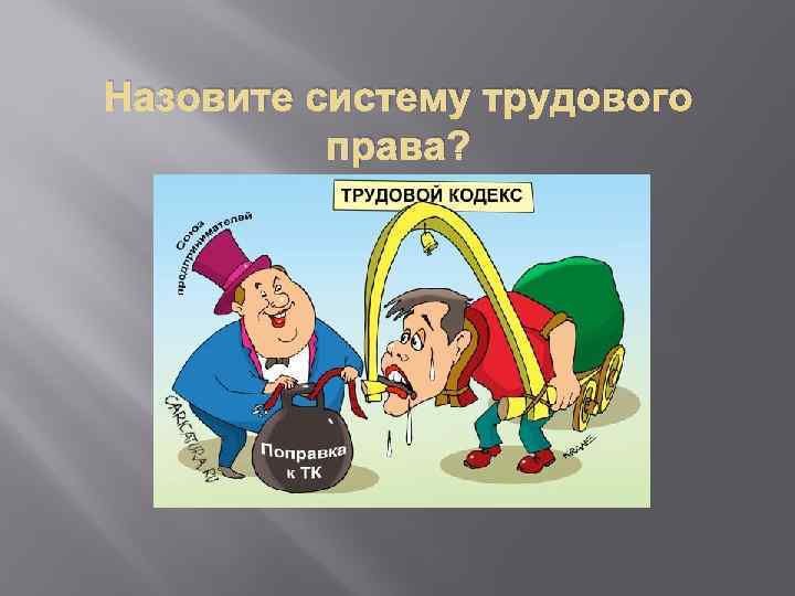 Назовите систему трудового права? 