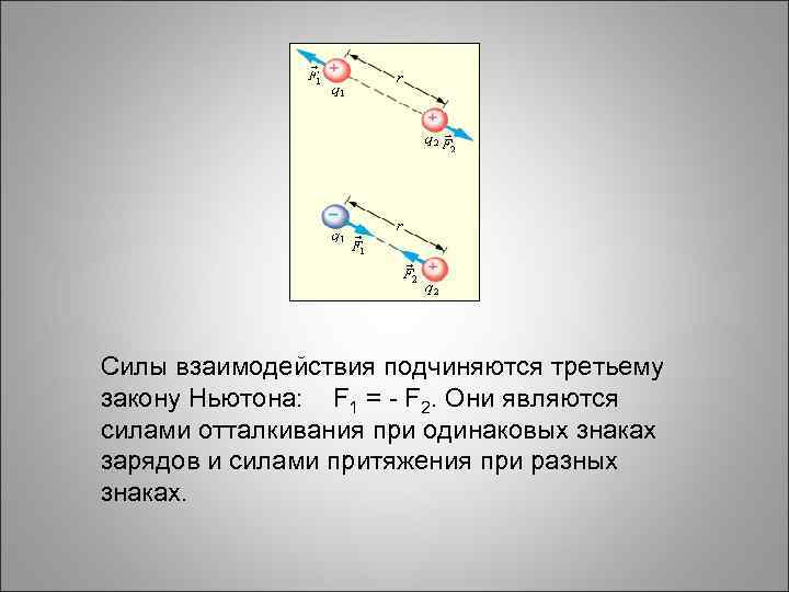 Силы взаимодействия подчиняются третьему закону Ньютона: F 1 = - F 2. Они являются