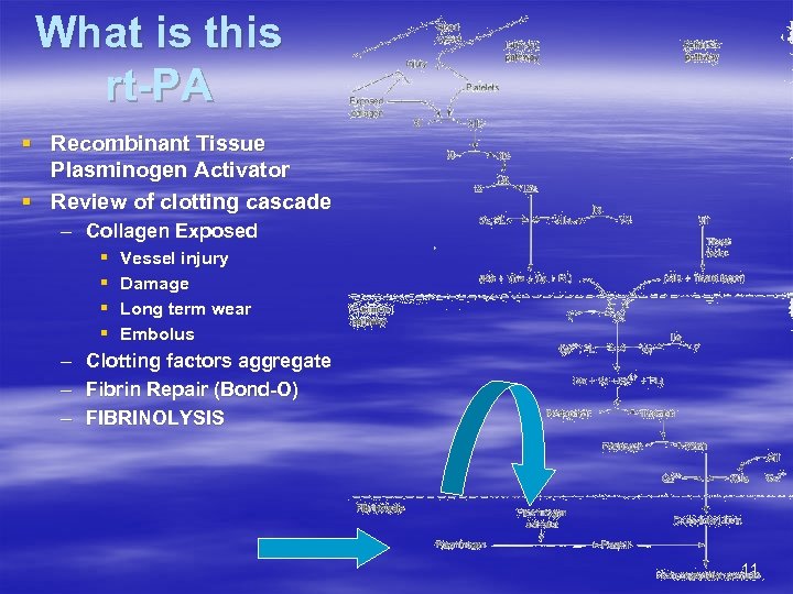 What is this rt-PA § Recombinant Tissue Plasminogen Activator § Review of clotting cascade