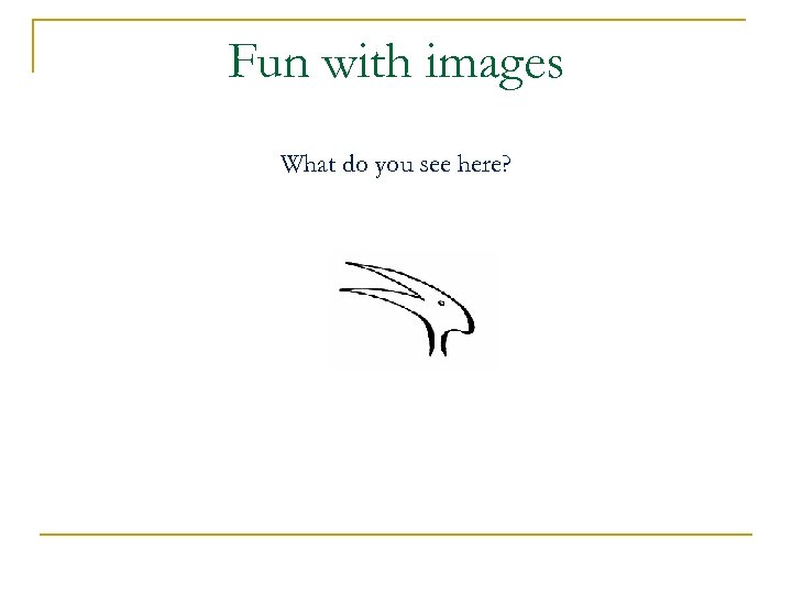 Fun with images What do you see here? 