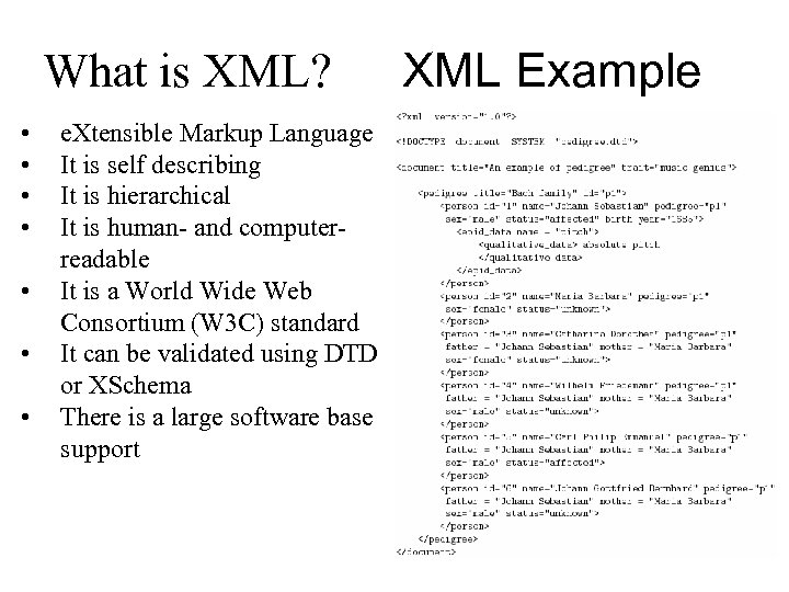 What is XML? • • e. Xtensible Markup Language It is self describing It