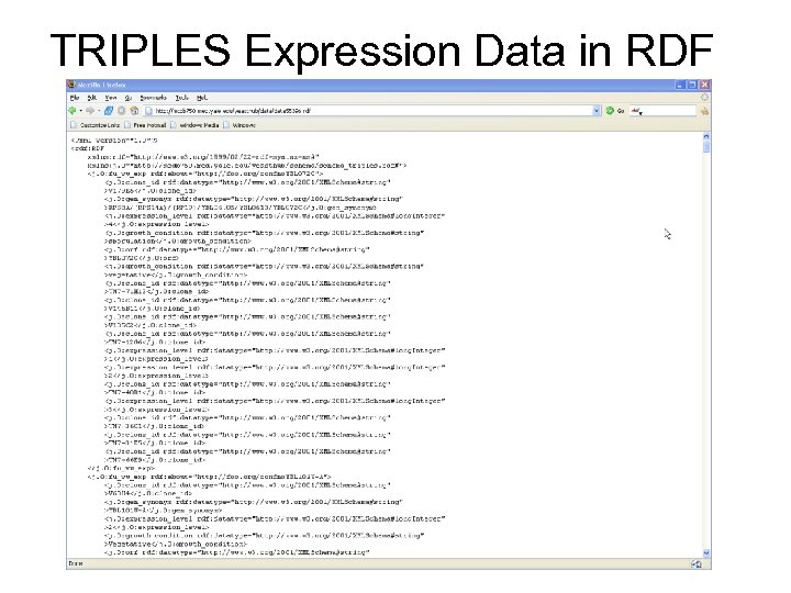 TRIPLES Expression Data in RDF 