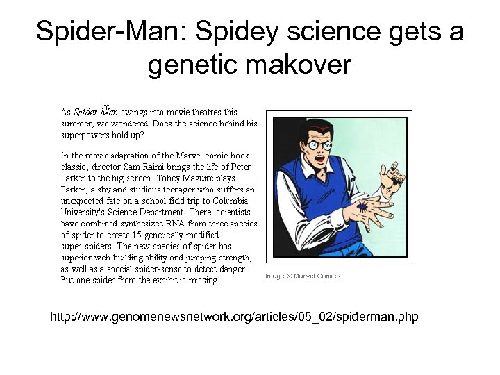 Spider-Man: Spidey science gets a genetic makover http: //www. genomenewsnetwork. org/articles/05_02/spiderman. php 