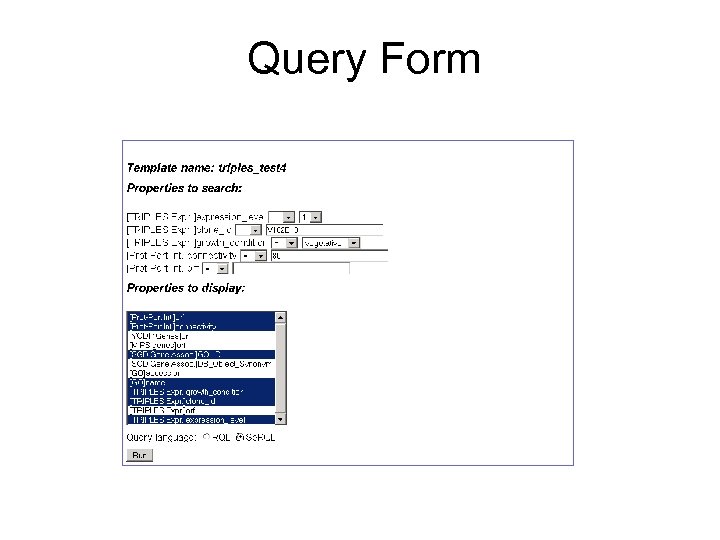 Query Form 