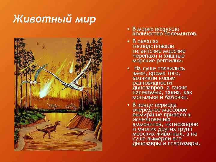 Животный мир • В морях возросло количество белемнитов. • В океанах господствовали гигантские морские