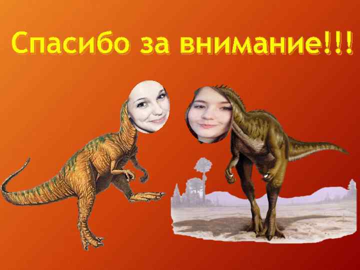 Спасибо за внимание!!! 