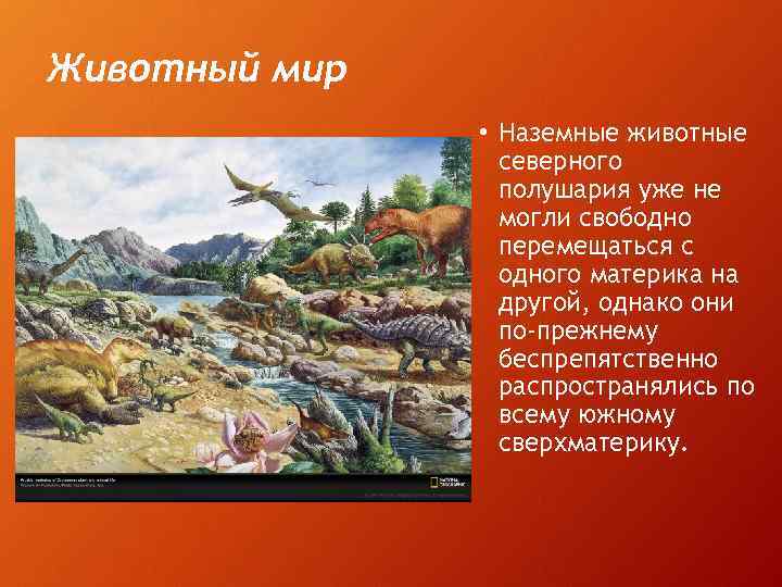 Животный мир • Наземные животные северного полушария уже не могли свободно перемещаться с одного
