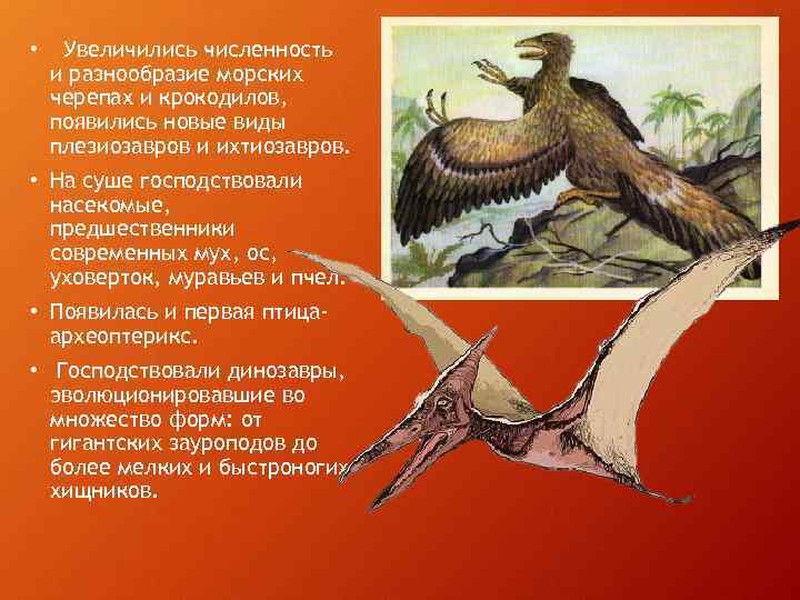  • Увеличились численность и разнообразие морских черепах и крокодилов, появились новые виды плезиозавров