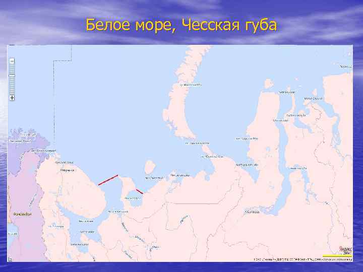 Белое море, Чесская губа 